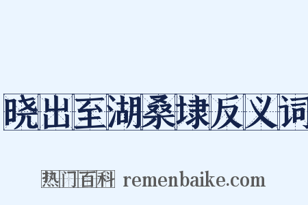 晓出至湖桑埭反义词是什么意思的图片